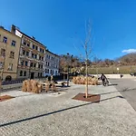 Flat In Zizkov -303-
