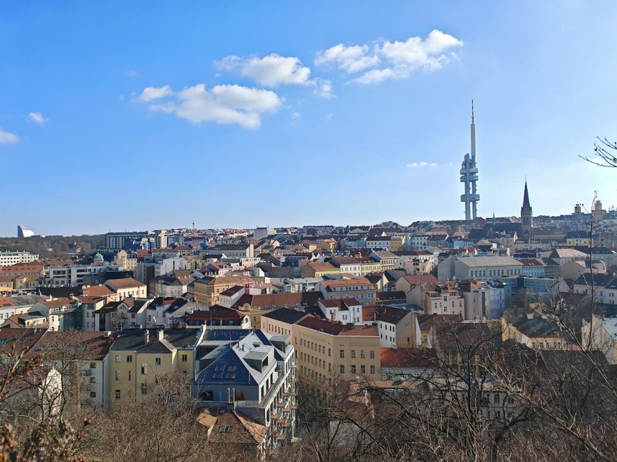 Flat In Zizkov -303-