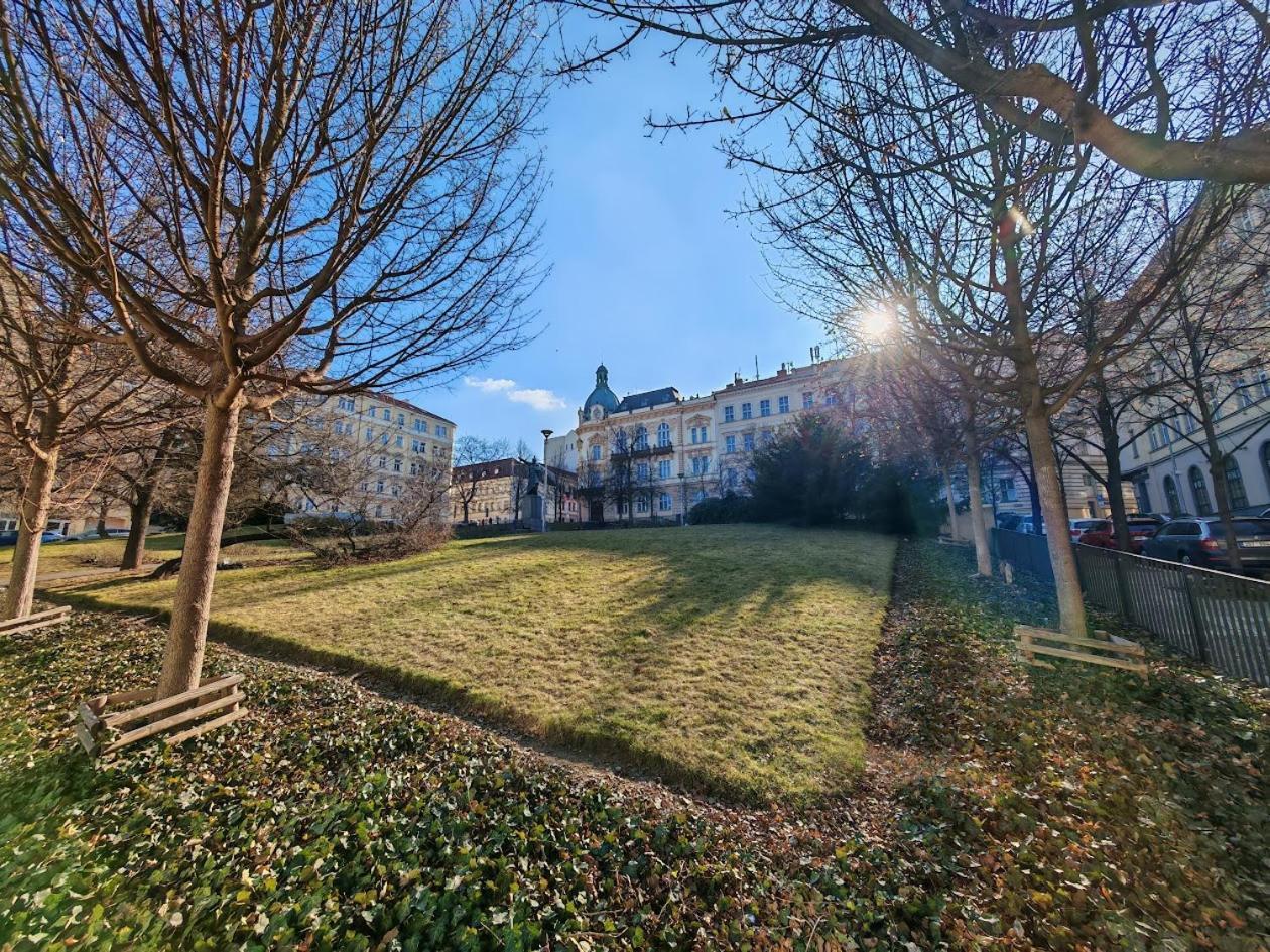 Apartment Flat In Zizkov -303-
