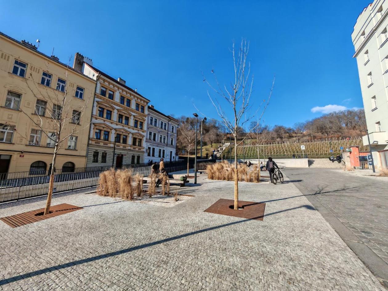 Flat In Zizkov -303- Appartement